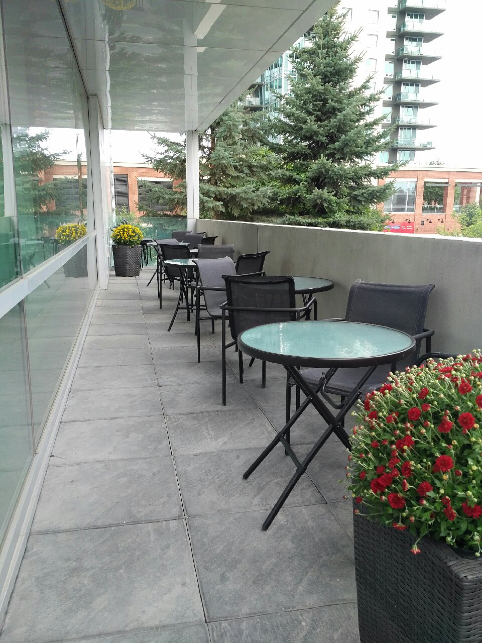 Exterior patio on Unit 201.