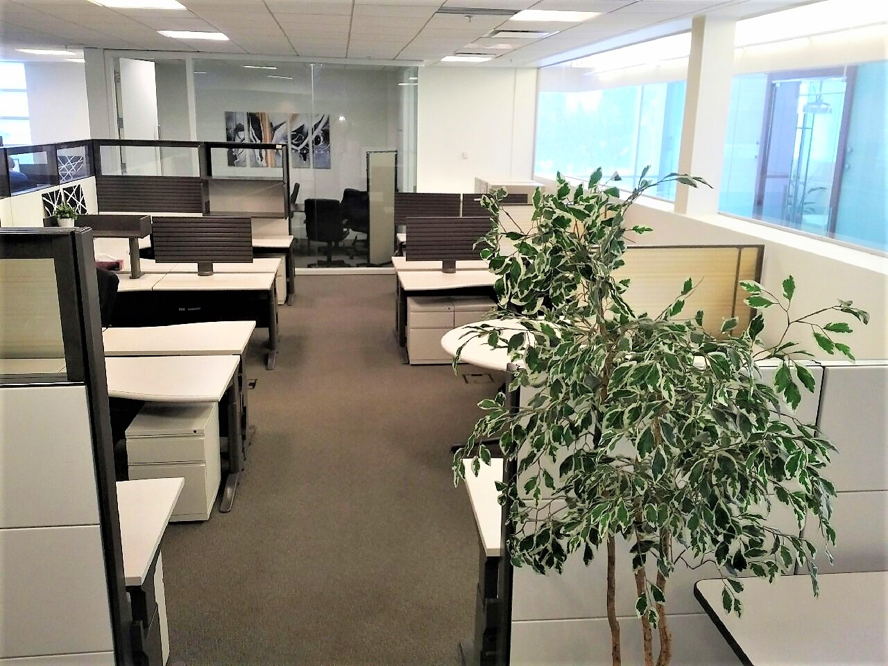 office cubicles